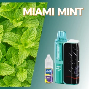 jnr flavor miami mint vape